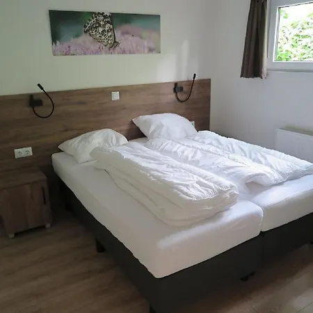 Nature-connected Modern *