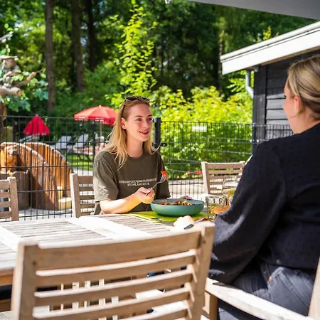 Vakantiehuis Nature-connected Modern Hoenderloo