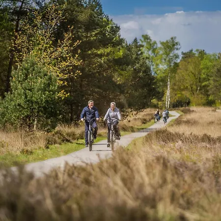 Nature-connected Modern