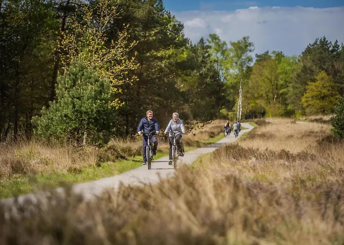 Nature-connected Modern