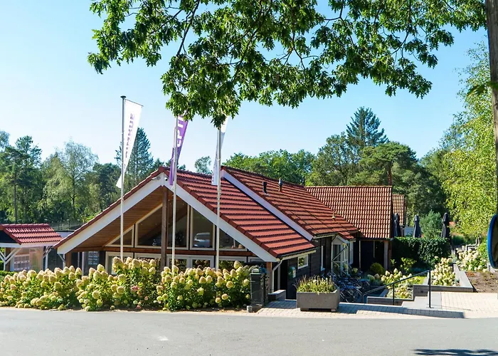 Nature-connected Modern Ferienhaus Hoenderloo