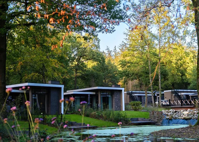 Nature-connected Modern *