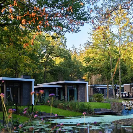 Nature-connected Modern *